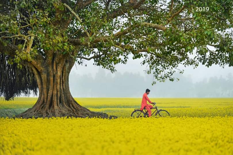 Bangladeshi Nature Photo